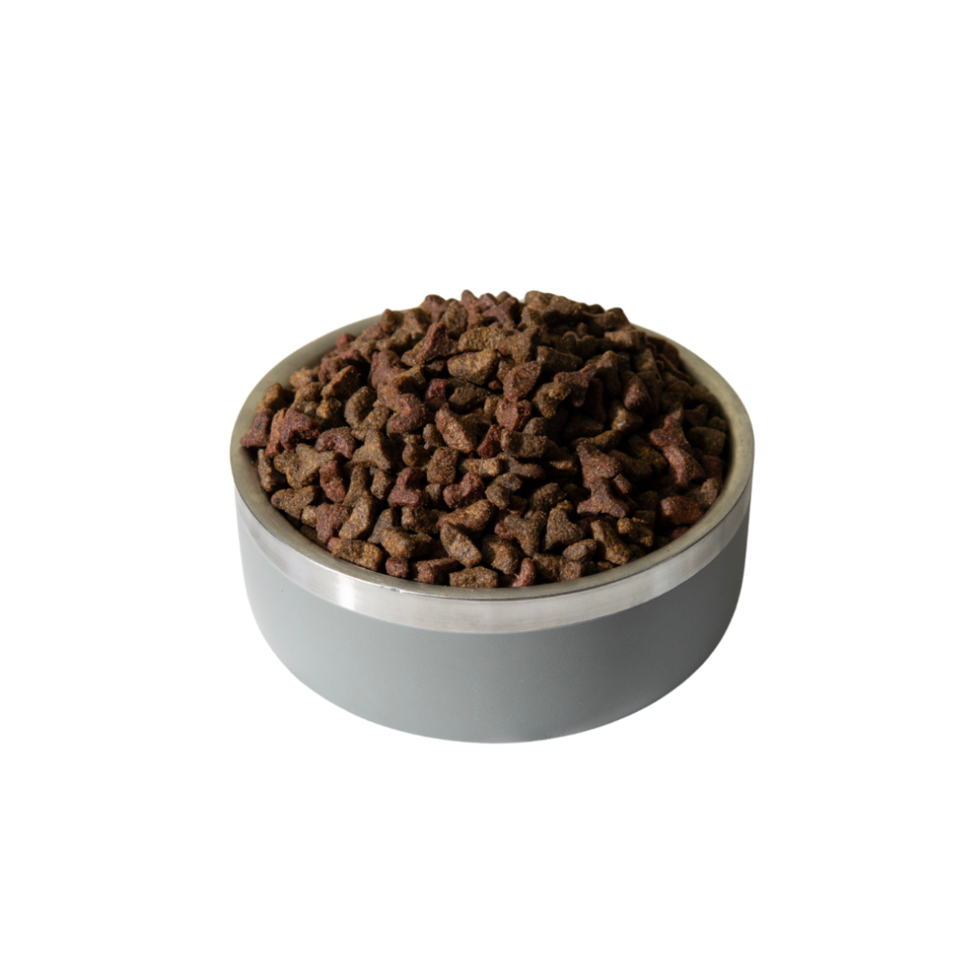 Complete Cat 10kg