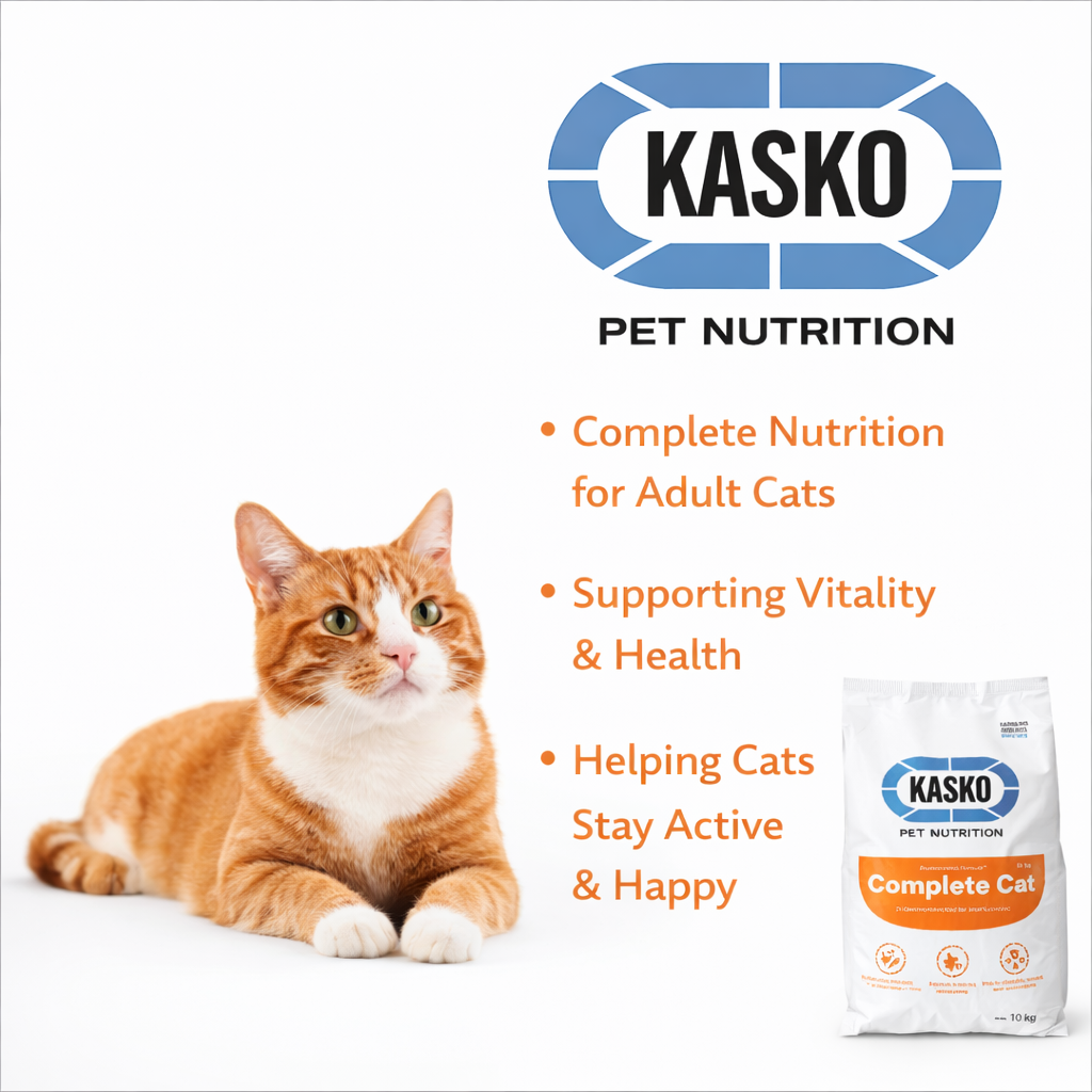 Complete Cat 10kg