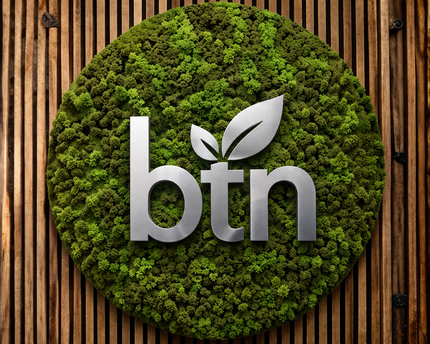 Btn logo  lifestylke