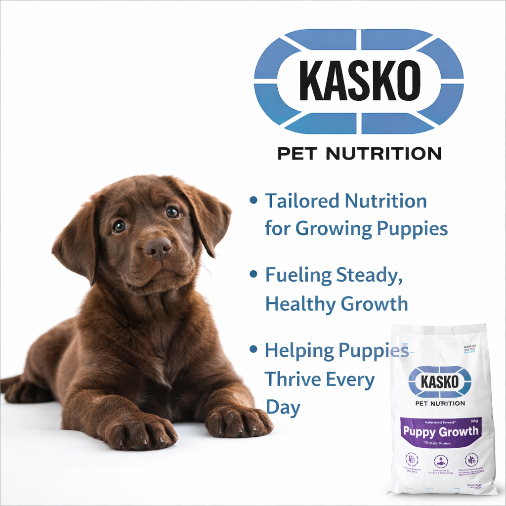 Kasko Puppy Growth 10kg
