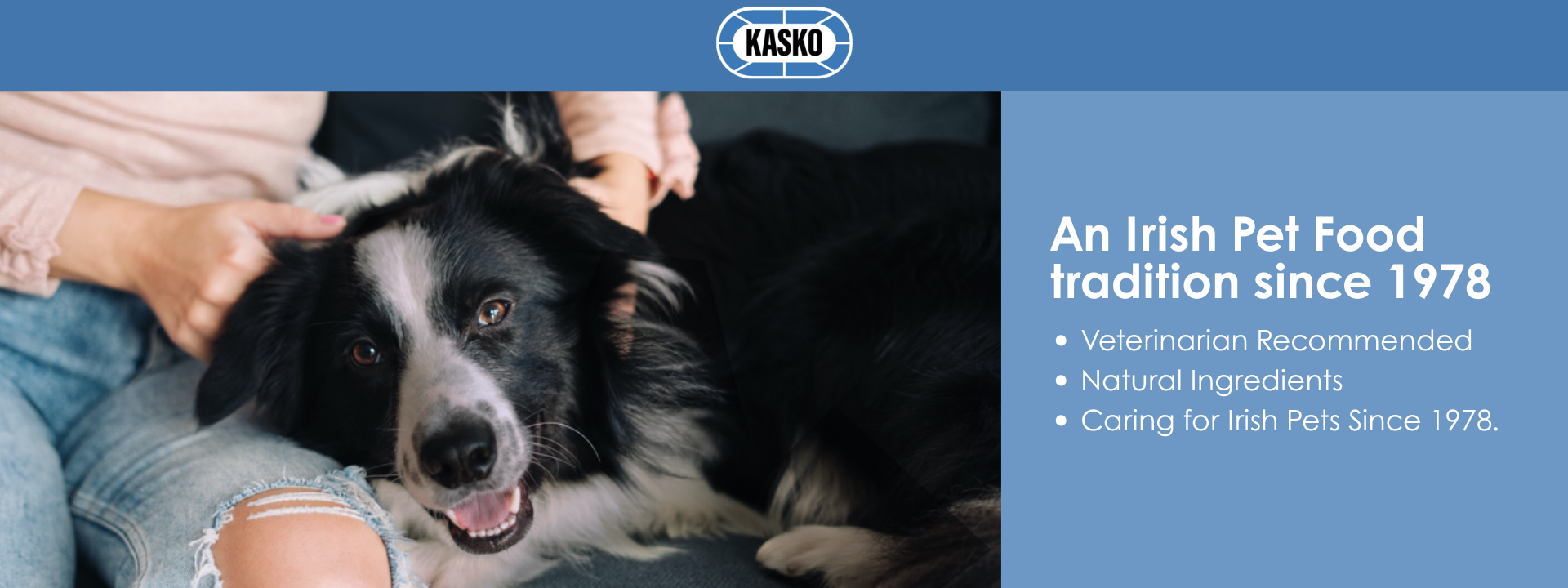 Kasko Banner