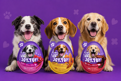 JOY&TOY! Duck Soft Jerky for Dogs