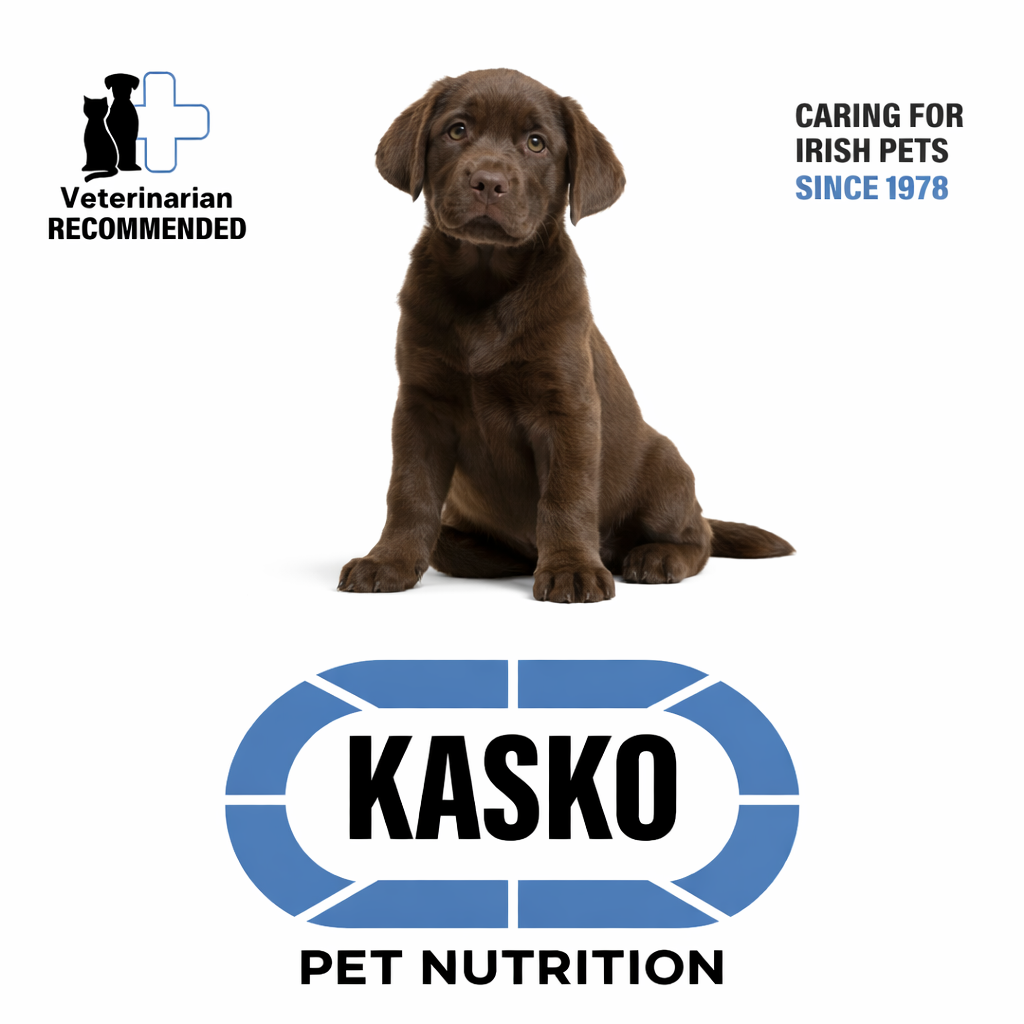 Kasko Puppy Growth 10kg