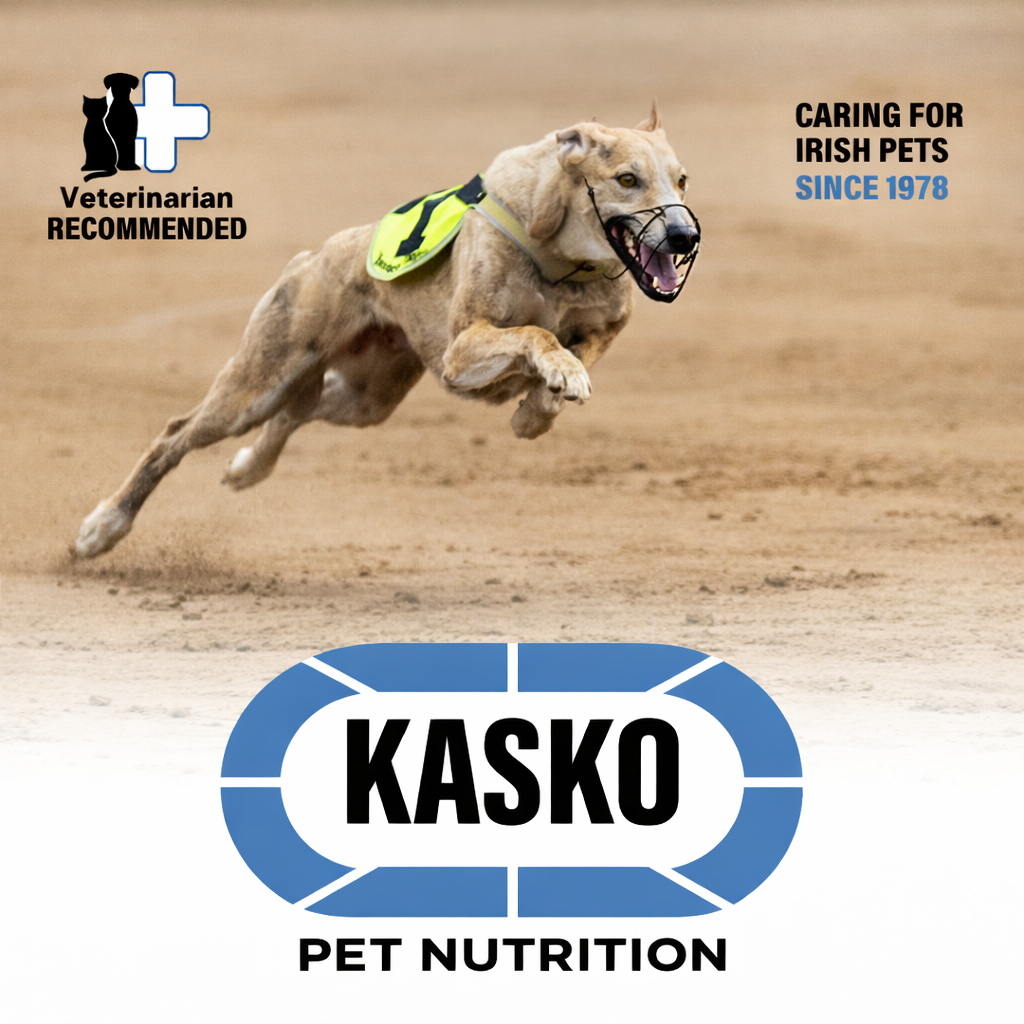 Kasko Greyhound Mealettes 15kg