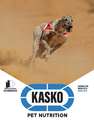 Kasko Kennel Krunch 15kg